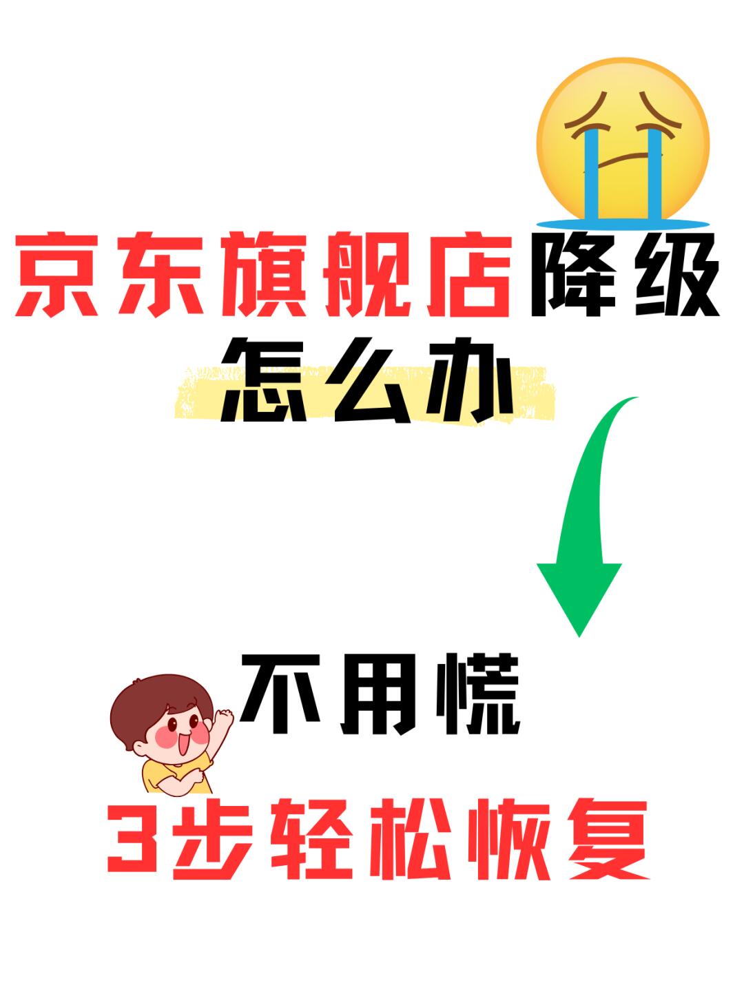 %title插图%num 京东【旗舰店】被降级怎么办?