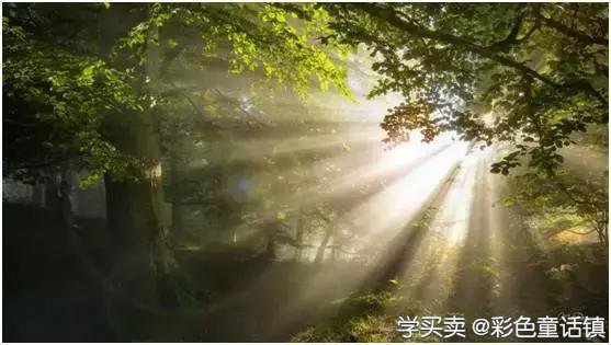 夫妻老婆店：京东阿里都觊觎的亿万级市场