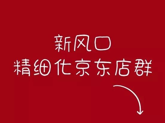%title插图%num 京东店群新品打造爆款技巧