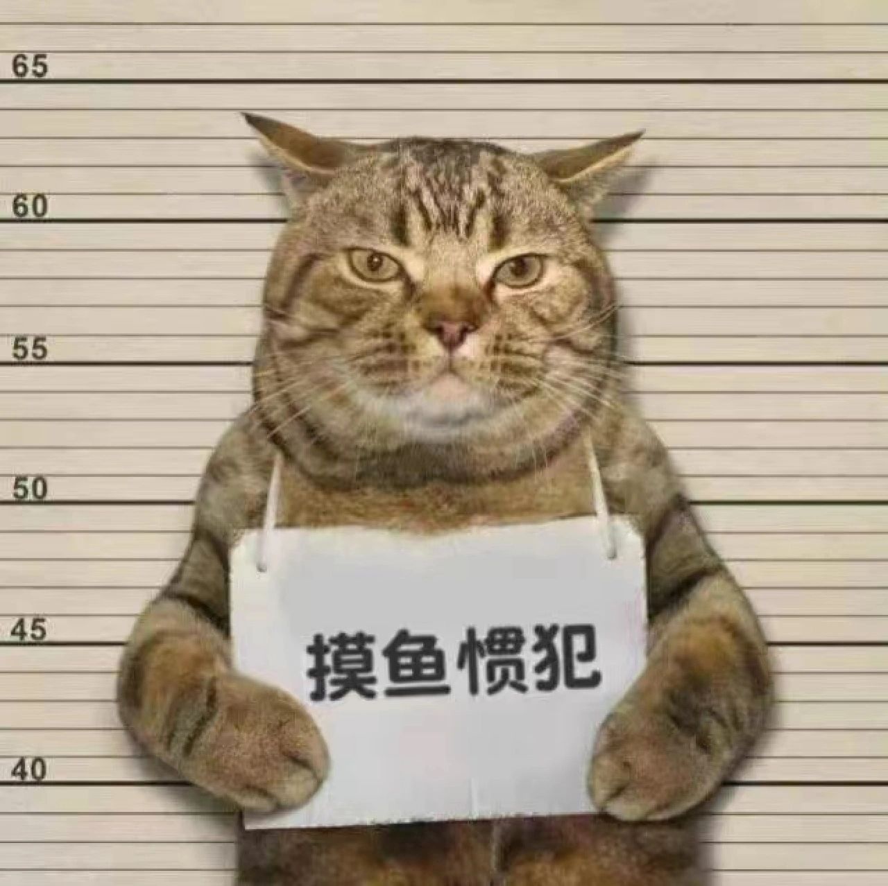京东科技电话面经☎️*2