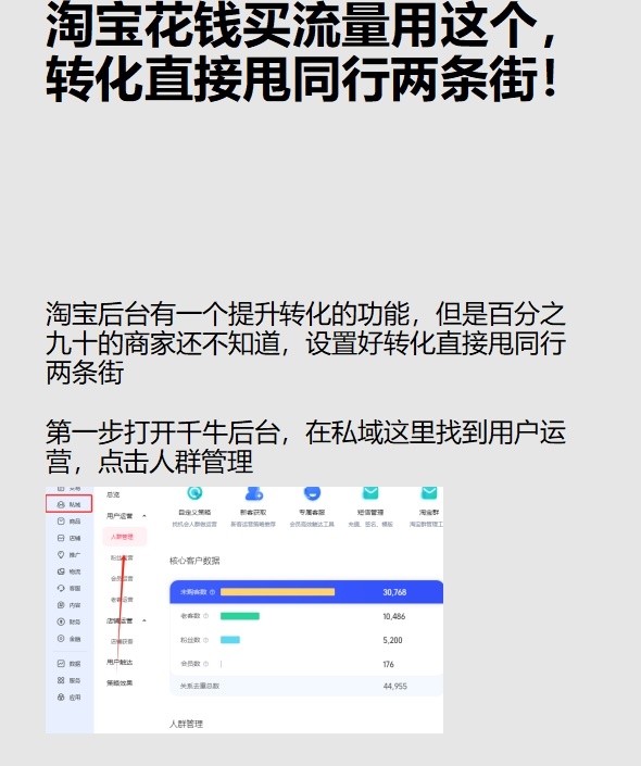 淘宝花钱买流量，转化直接甩同行两条街！
