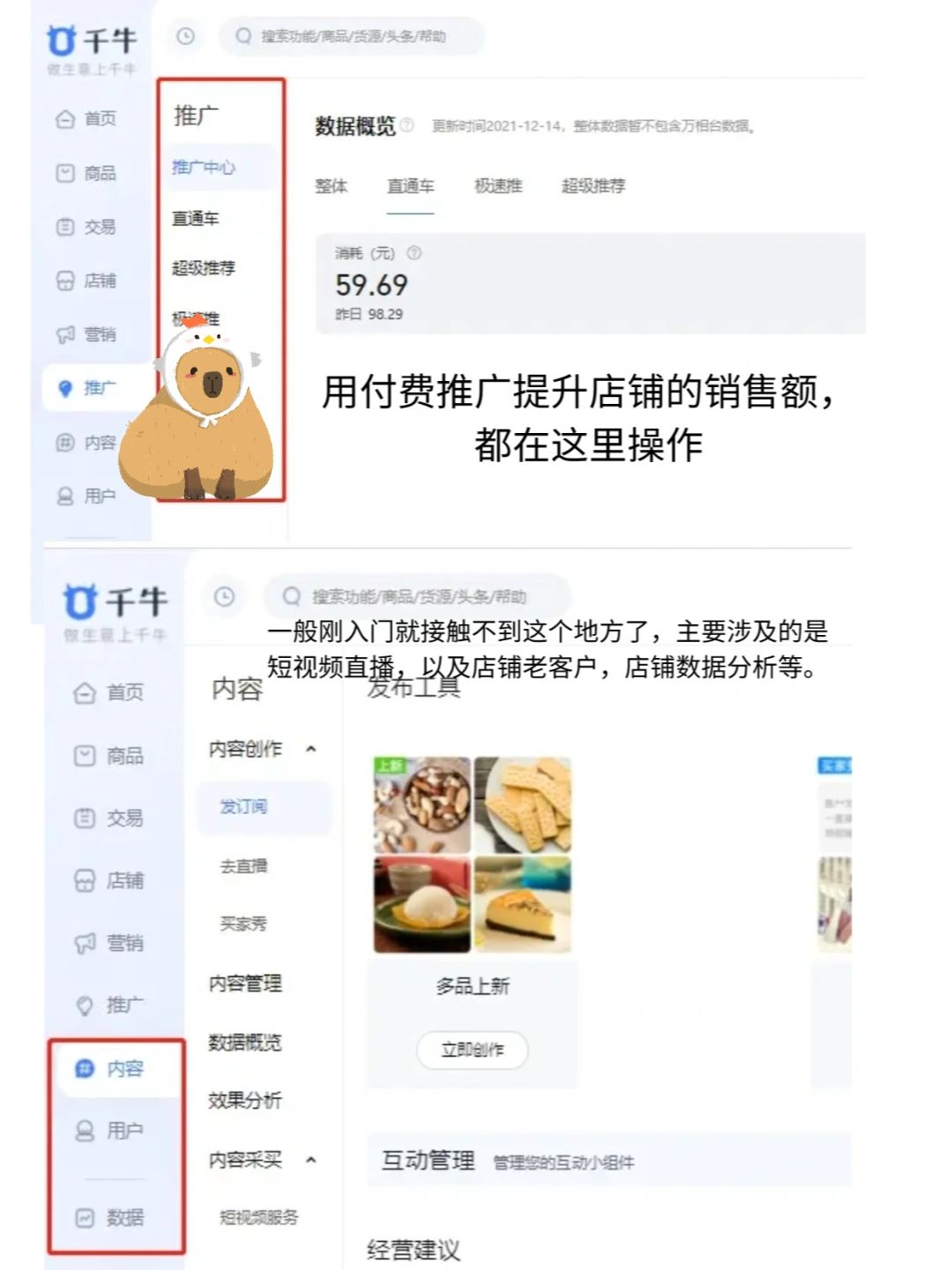 %title插图%num 别找了!新手开店流程都在这,绝了这么详细