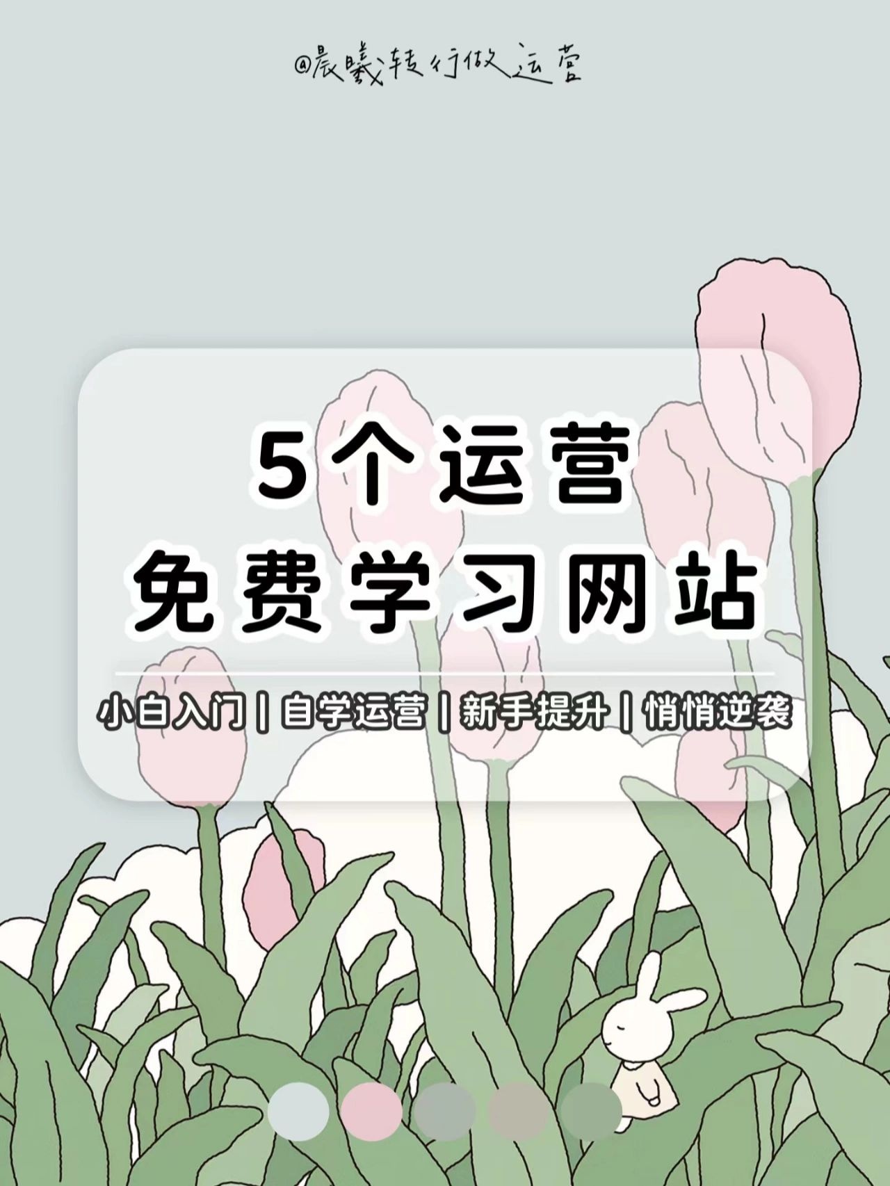 %title插图%num 5大免费运营自学网站|零基础小白必看