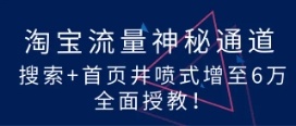 解锁淘宝流量神秘通道，20天搜索+首页井喷式增至6万，全面授教！
