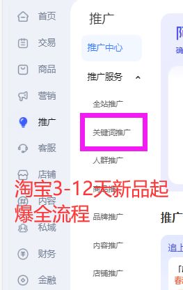 %title插图%num 淘宝3-12天新品起爆全流程!
