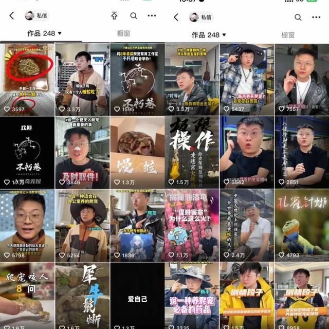 %title插图%num 异宠经济撬动百亿新赛道,淘宝如何啃下这个“冷门”市场?