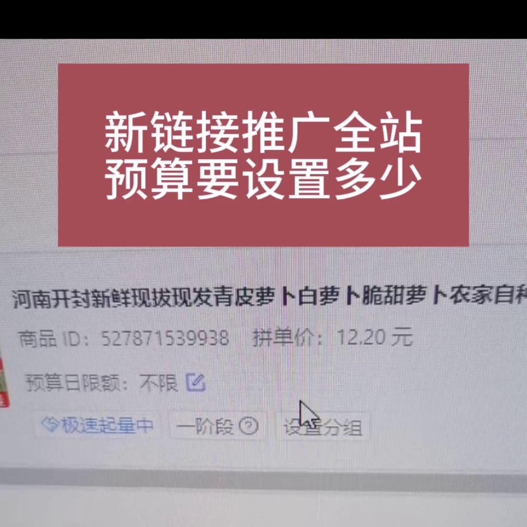 新链接推广全站，预算要设置多少？
