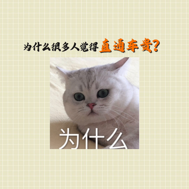 一分钟视频给你讲透，直通车究竟给商家带来了什么？