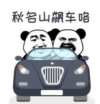 构建高效的淘宝直通车广告：省钱攻略大揭秘