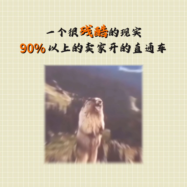 一分钟视频给你讲透，直通车究竟给商家带来了什么？