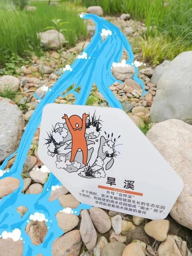 阿里重回健康增长轨道