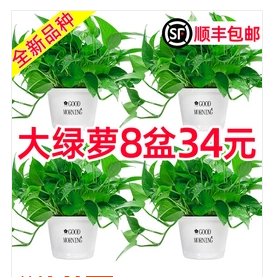 %title插图%num 几十万都买不到直通车思路,数据详解