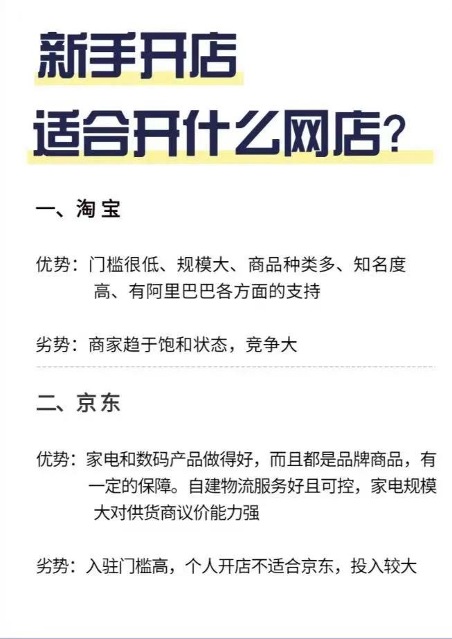新手适合在哪个平台开网店？