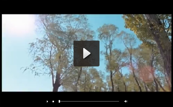 黑色线条简洁漂亮Flv视频播放器